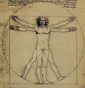 Vitruvian Man - Da Vinci